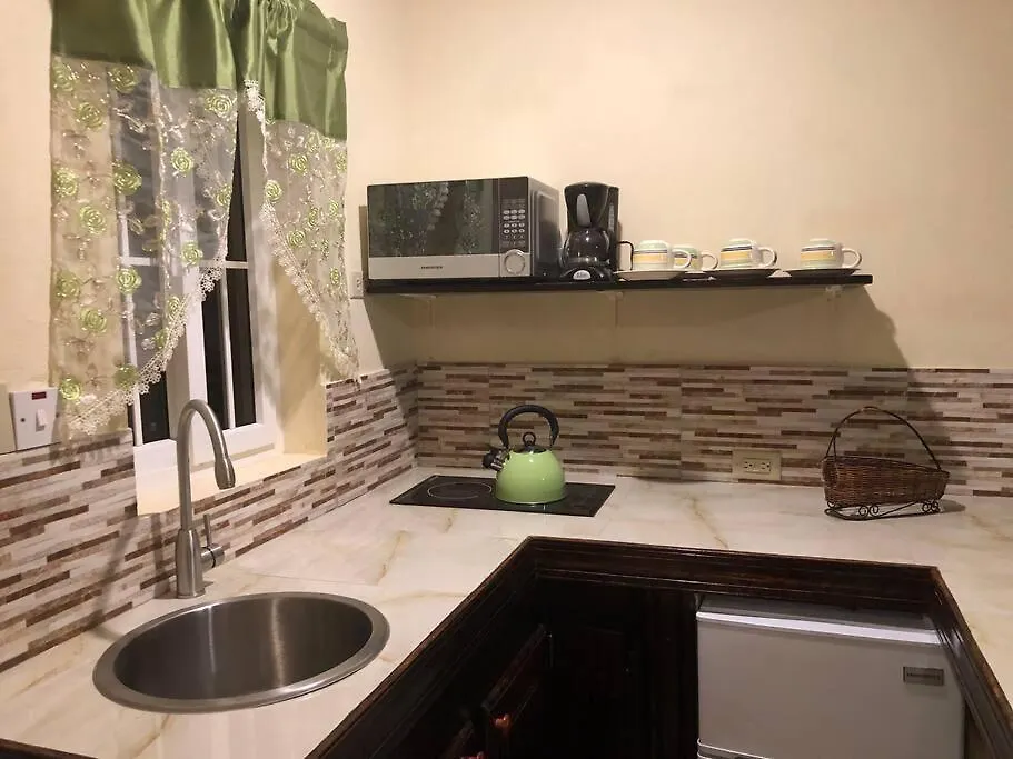 Apartman Ashlyn Studios Chocolate Kingston Jamaica